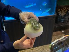 -肆月河豚·淮扬菜·湘菜(华天店)