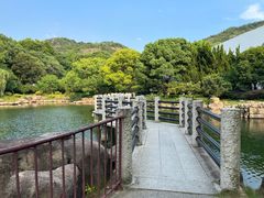 -白马涧龙池景区