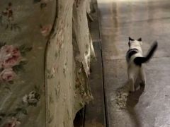 -么么咖啡(燕郊店)