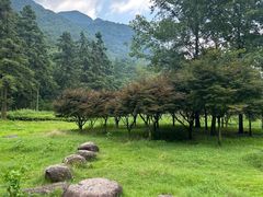 -姑婆山旅游区