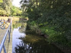 -长白岛森林公园