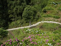 -鼓岭旅游度假区