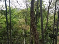 -杭州黄龙洞