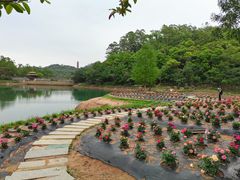 -大雁山风景区