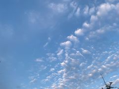 -罗卜李包子羊肉汤