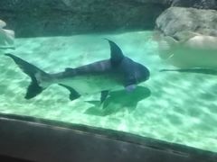 -常州海昌海洋探索馆