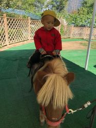 -萌宠亲子动物乐园(槐房万达店)