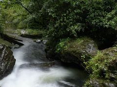 -龙苍沟森林公园