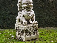 -白水寺森林公园