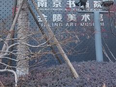 -南京书画院金陵美术馆
