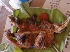 -西双版纳傣族园
