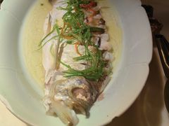 清蒸白鱼-二十八里太湖船菜(吉祥路店)