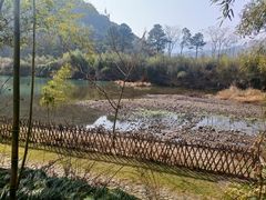 -江南荣村(小溪店)
