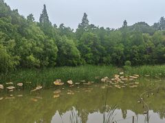 -吴淞炮台湾湿地森林公园烧烤区