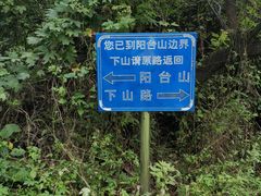 -阳台山自然风景区