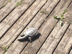 -苏州河梦清园环保主题公园