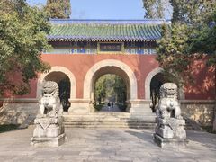-灵谷景区