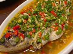 飞虹鱼-飞虹鱼馆(春华路店)
