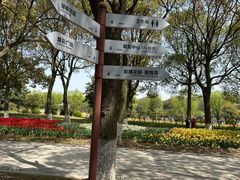 -上海鲜花港
