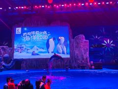 -华夏文旅海洋公园