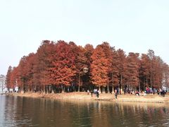 -四明湖