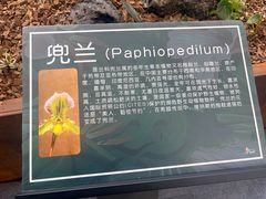-上海鲜花港