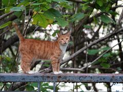 -苏州河梦清园环保主题公园