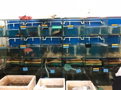 水产区-胖大嫂渔家排档(半边山店)