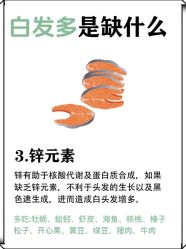 -Bollins波林丝•专研护发中心