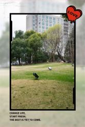 -耐味林月子会所(黄兴公园店)