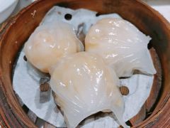 千日贺虾饺皇-千日贺茶餐厅(高新万达店)