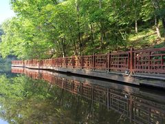 -洛阳白云山景区