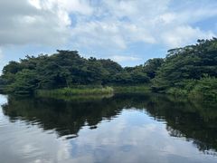 -济州森林小火车生态公园