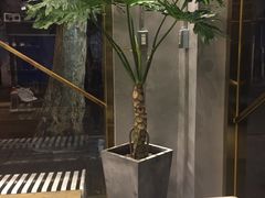 -KYO COFFEE(胶州路店)