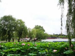 -长春市南湖公园