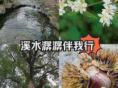 -仙人谷漂流景区
