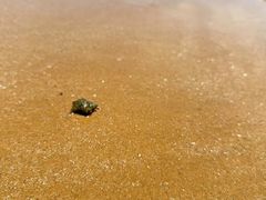 -青岛银沙滩