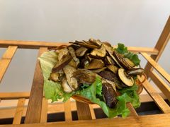 黑牛肝菌-菌海森林·非遗野生菌火锅(西山区滇池路摩根道店)
