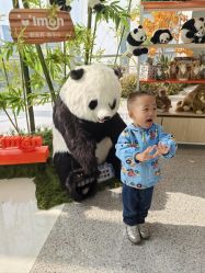 -IMON·HANSA潮玩玩偶毛绒玩具(通州万象汇店)