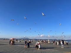 -东港音乐喷泉广场