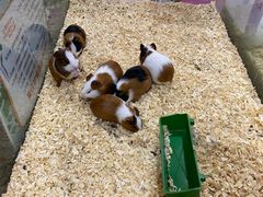 -正佳雨林生态植物园