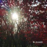 适合全家出游的公园！[加油]