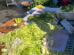 -腾冲大加工饮食文化园