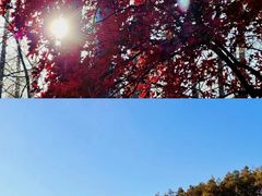 -长春净月潭风景名胜区