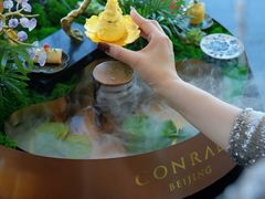 -北京康莱德酒店