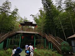 -陶祖圣境风景区