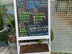 -有猫主题·治愈系猫咖(曾厝垵店)