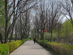 -古塔公园