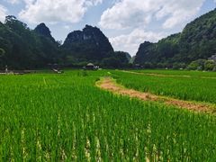 -高荡千年布依古寨旅游景区