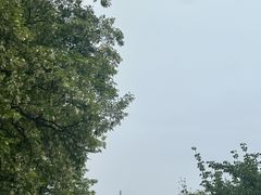 -旅顺博物馆